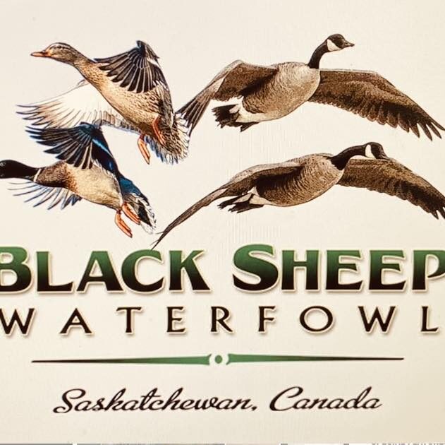 Black Sheep logo.jpg
