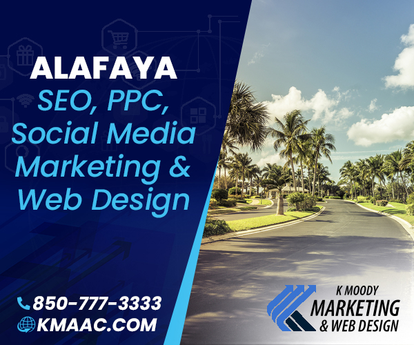 Alafaya seo social media web design services