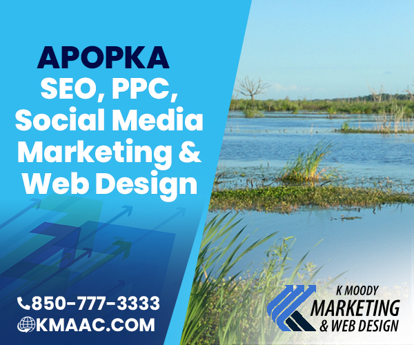 Apopka seo social media web design services
