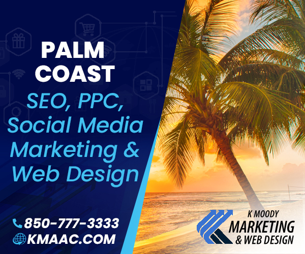Palm Coast  seo social media web design services
