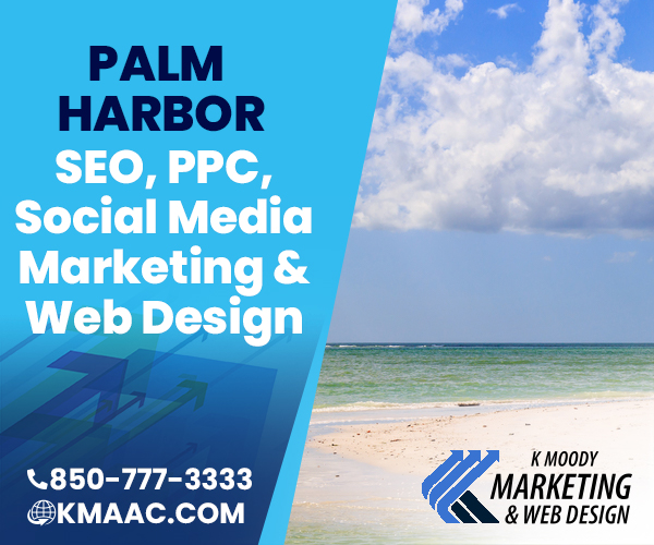 Palm Harbor  seo social media web design services