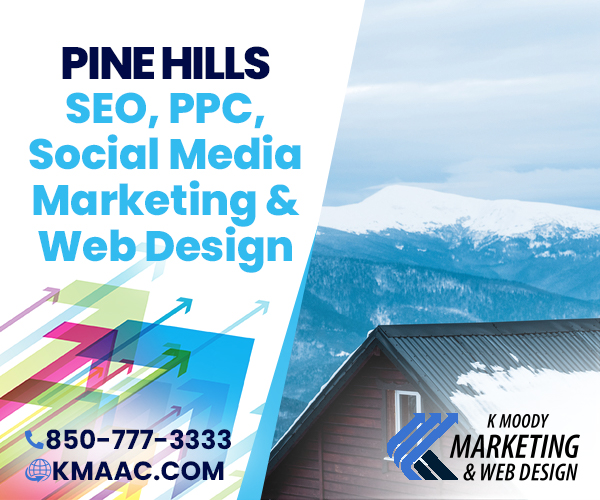 Pine Hills seo social media web design services