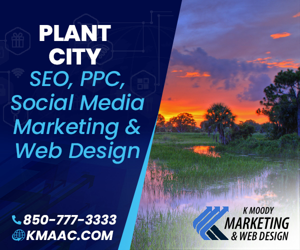 Plant City  seo social media web design services