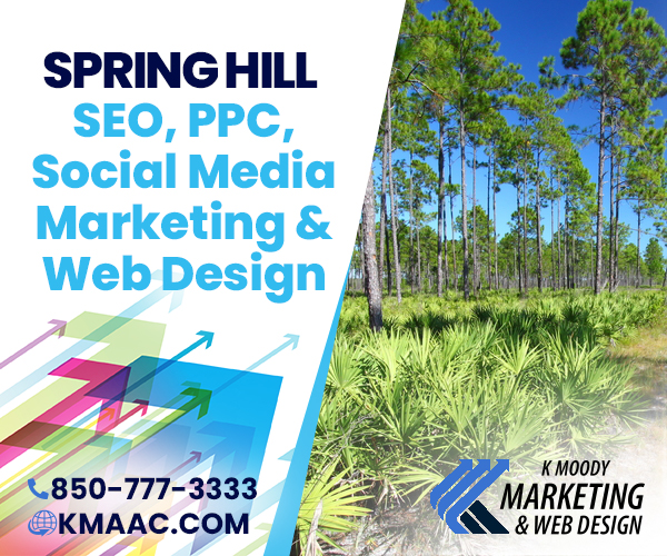 Spring Hill seo social media web design services