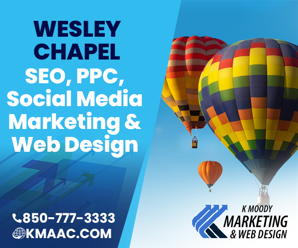 Wesley Chapel seo social media web design services